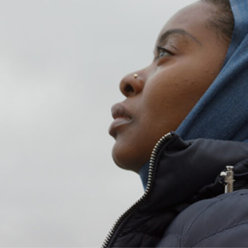 Black in School (HLX)