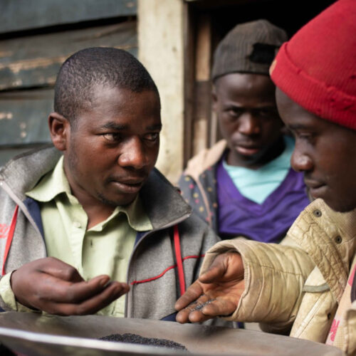 Of Mud and Blood (Opening Film)