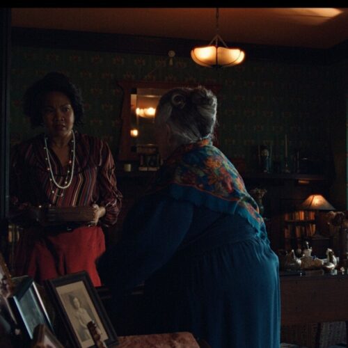 Ownership (In Theatre & Online)