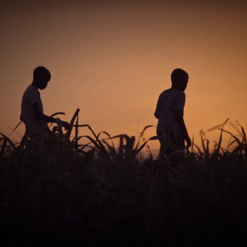 Stateless (Online Only)