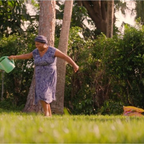 Fou (Crazy) (In Theatre & Online)